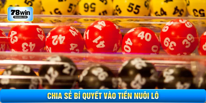 Chia sẻ bí quyết vào tiền nuôi lô