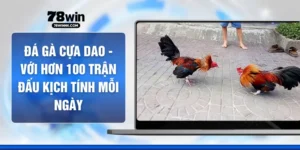 Đá Gà Cựa Dao -  Với Hơn 100 Trận Đấu Kịch Tính Mỗi Ngày 
